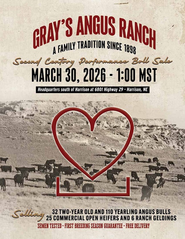 Grays Angus Sale Catalog